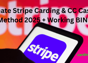 Ultimate Stripe Carding & CC Cashout Method 2025 + Working BINs